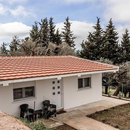 바르 Olive Grove 아파트 외부 사진