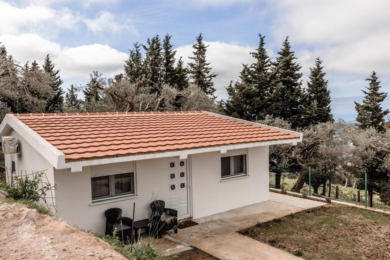 바르 Olive Grove 아파트 외부 사진
